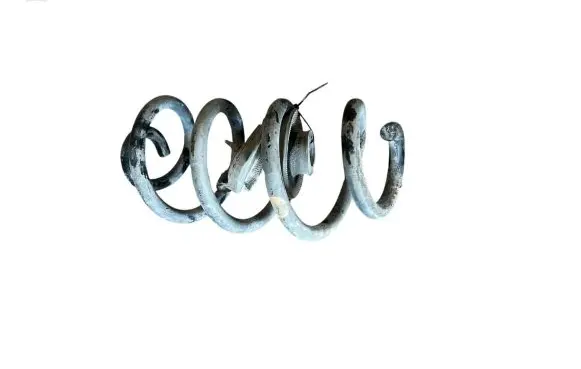 Nissan X-Trail T31 Rear coil spring