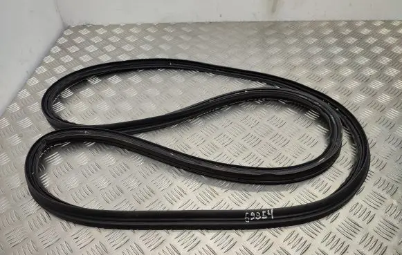 Trunk rubber seal (body)