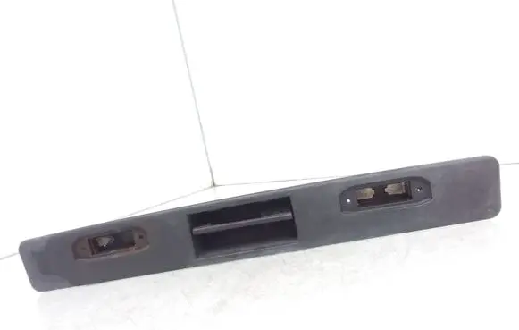 Trunk door license plate light bar