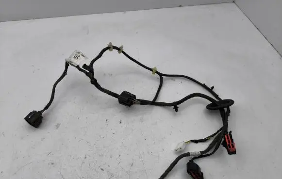 Rear door wiring loom