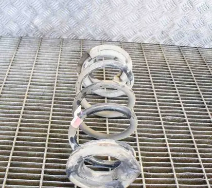 Tesla Model 3 Rear coil spring 104447291E