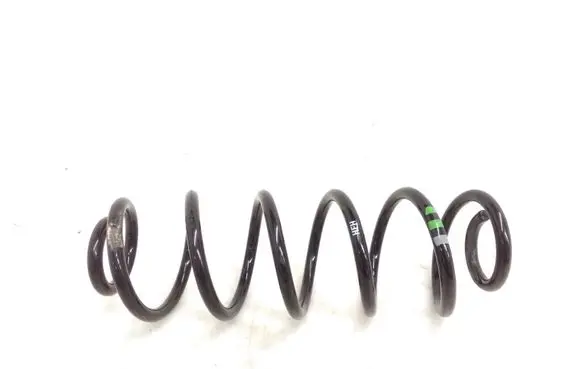 Rear coil spring