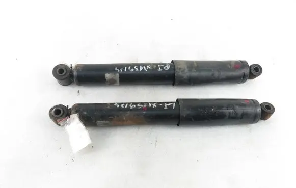 Fiat Doblo Rear shock absorber/damper 