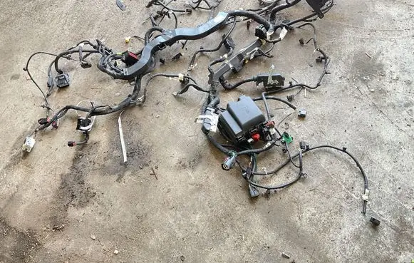 Ford Mach-E I Other wiring loom 