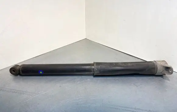 Ford Kuga II Rear shock absorber/damper CV6118080ABB