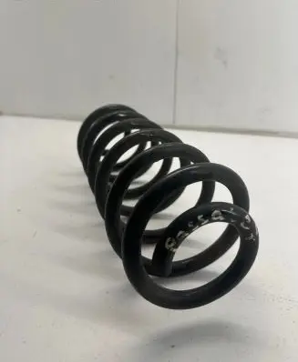 Volkswagen PASSAT B7 Rear coil spring