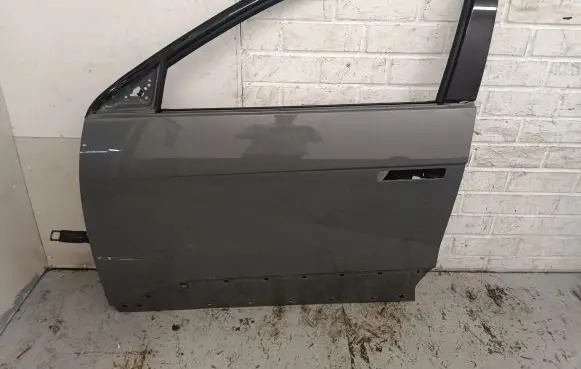 Hyundai Ioniq 5 Front door
