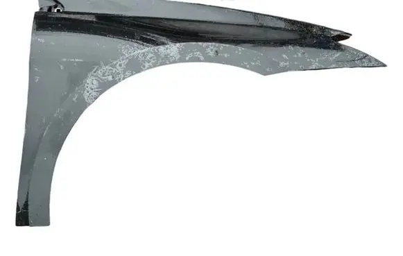 Renault Laguna III Fender
