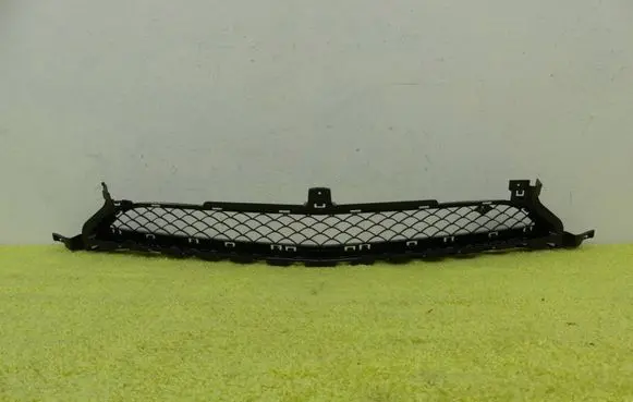 Mercedes-Benz AMG GT R190 C190 Front bumper lower grill 1908850254