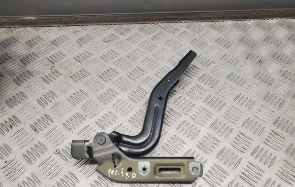 Chrysler Pacifica Engine bonnet/hood hinges 680AC