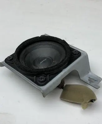 Panel speaker