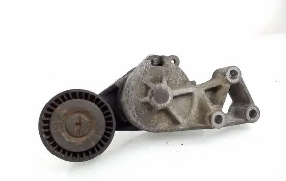 Seat Alhambra (Mk1) Generator/alternator belt tensioner 038903315F