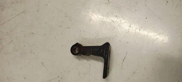 Rear door lower hinge