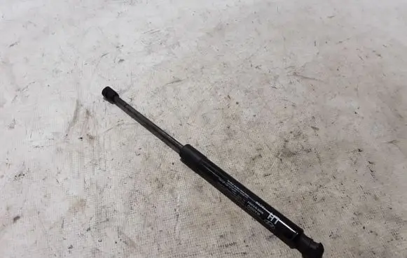 Tailgate strut