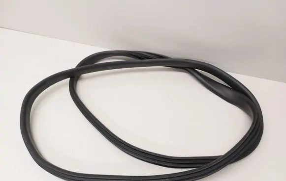 Dacia Sandero III Front door rubber seal 