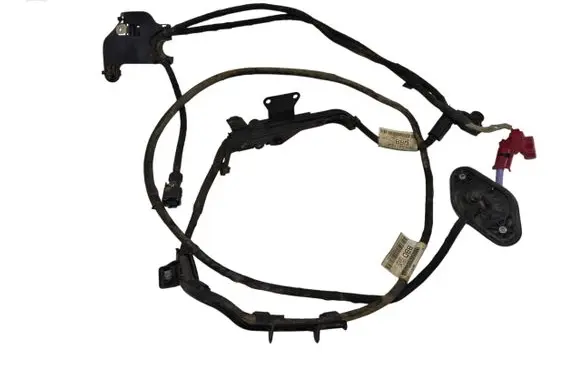 Other wiring loom