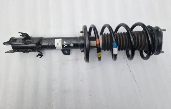 Ford Ecosport Front shock absorber with coil spring GN1518K001 GN155310
