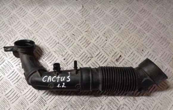 Citroen C4 Cactus Air intake hose/pipe 9807939780
