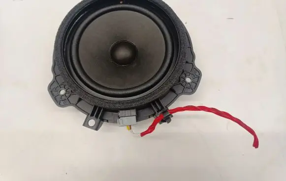 Rear door speaker