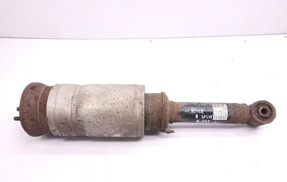 Land Rover Range Rover Sport L320 Front air suspension shock absorber 3498720 RNB500223 22222491