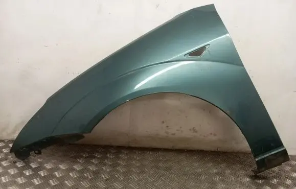 Ford Focus Fender
