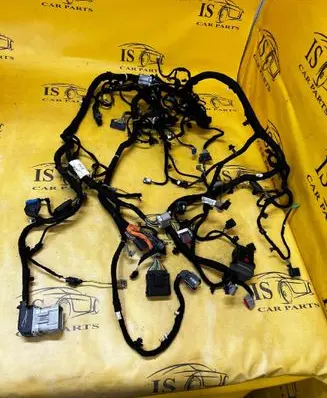 Ford Bronco Wiring harness P2DT-14401-BKD P2DT14401BKD M2DT-14F662-HC