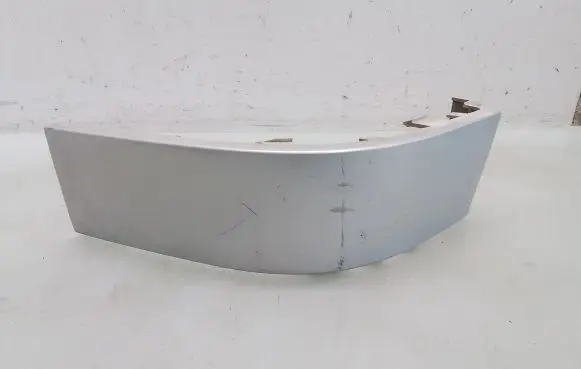 Rear/tail light trim molding