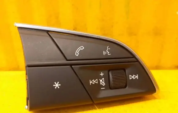 Multifunctional control switch/knob
