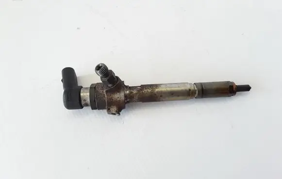 Renault Megane II Fuel injector