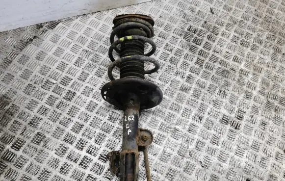 Toyota RAV 4 (XA40) Front shock absorber/damper