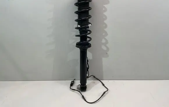 BMW 5 G30 G31 G38 Rear shock absorber/damper 6886888