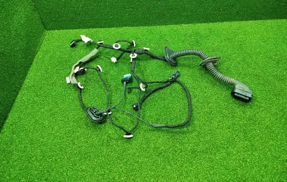 Renault Arkana Front door wiring loom 241254422R