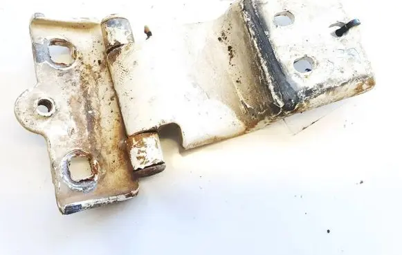 Citroen Jumper Rear door lower hinge