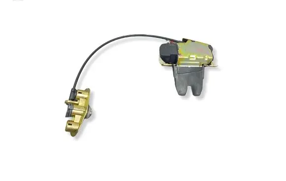 Volvo S60 Tailgate exterior lock 737700001 8679694