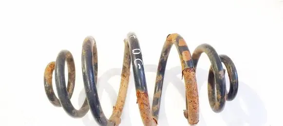 Rear coil spring
