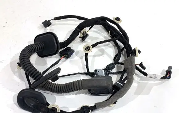 Renault Arkana Front door wiring loom 241251241R