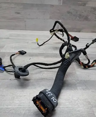 Front door wiring loom
