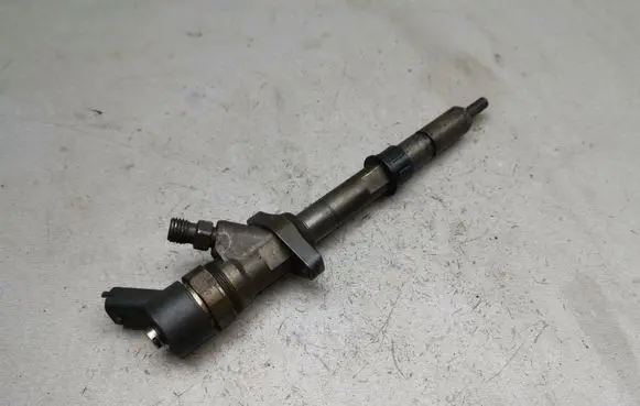 Citroen C5 Fuel injector 0445110036 9653344880