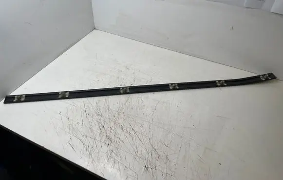 BMW 5 E39 Front door trim (molding) 8159296
