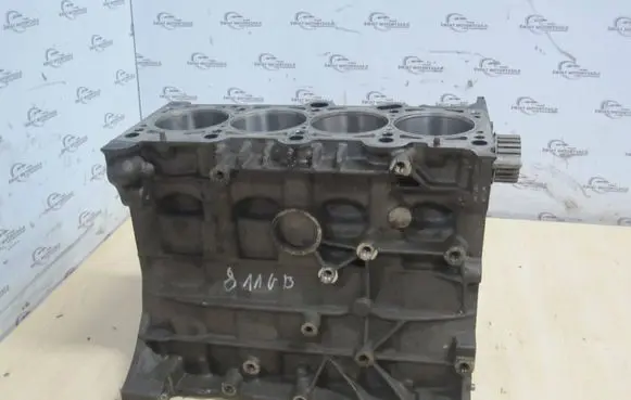 Volkswagen PASSAT B6 Engine block BVY