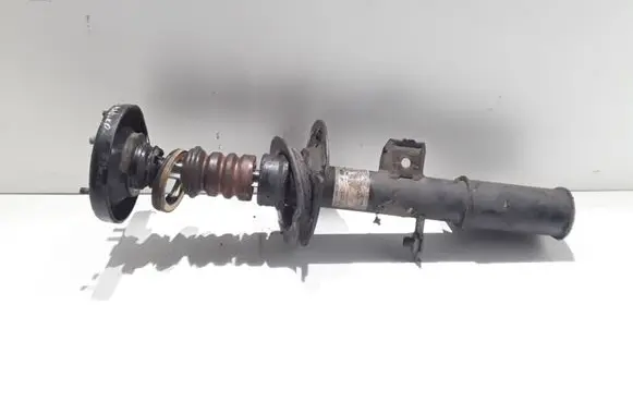 BMW X5 E53 Front shock absorber/damper