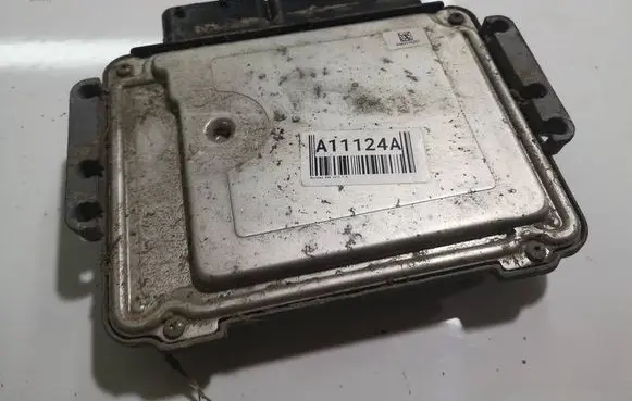 Hyundai i30 Engine control unit/module 0281017213 391142A412