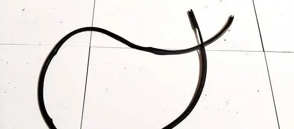 Citroen Berlingo Rubber seal front coupe door 