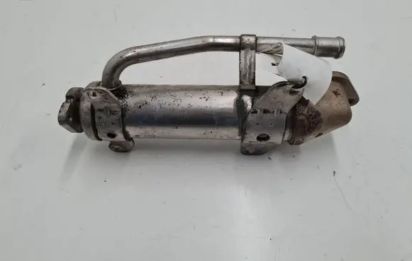 Seat Alhambra (Mk1) EGR valve cooler 038131513P