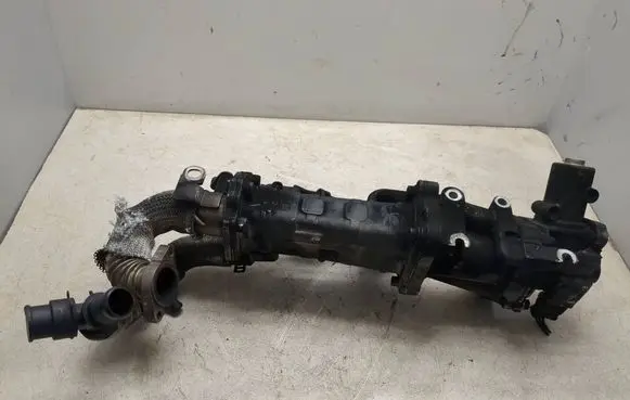 EGR valve