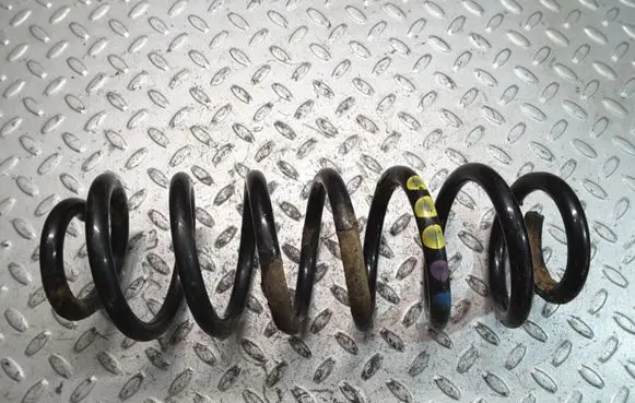 Volkswagen PASSAT B6 Rear coil spring