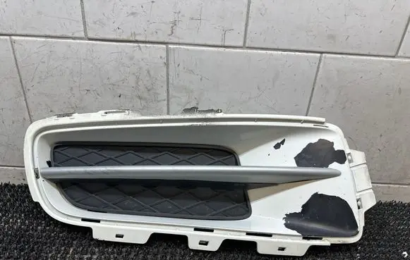 Front bumper lower grill