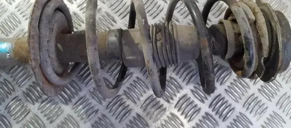 Fiat Punto (188) Front coil spring