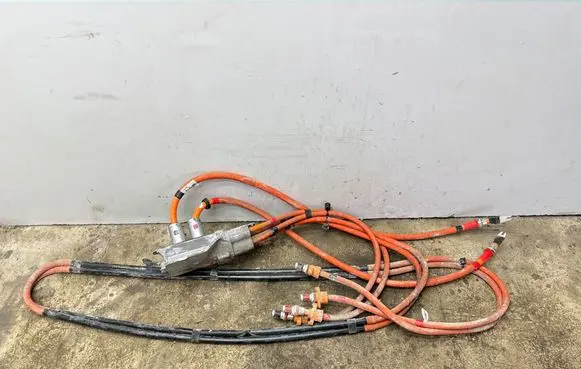 Tesla Model S Other wiring loom 105586810C 1111655000119