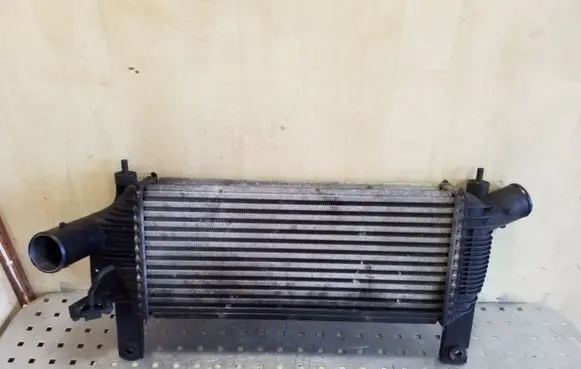 Nissan Pathfinder R51 Intercooler radiator 14461EB360